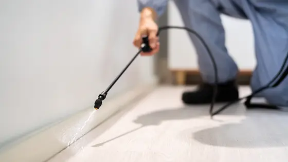 床面に薬剤を噴霧して消毒作業を行っている様子